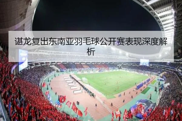 谌龙复出东南亚羽毛球公开赛表现深度解析 - leyu